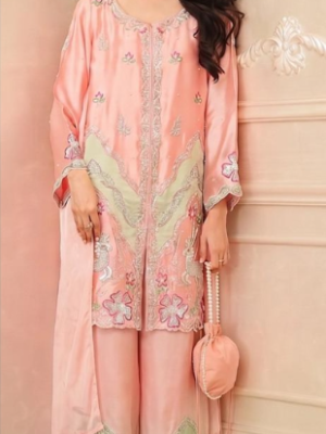 Ethnic Outfit Slik