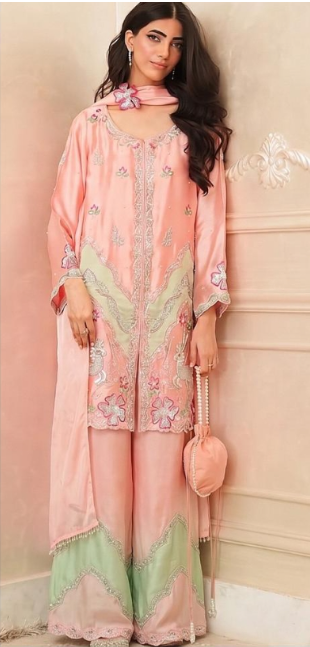 Ethnic Outfit Slik